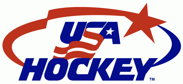 United States 2004-Pres Primary Logo iron on heat transfer